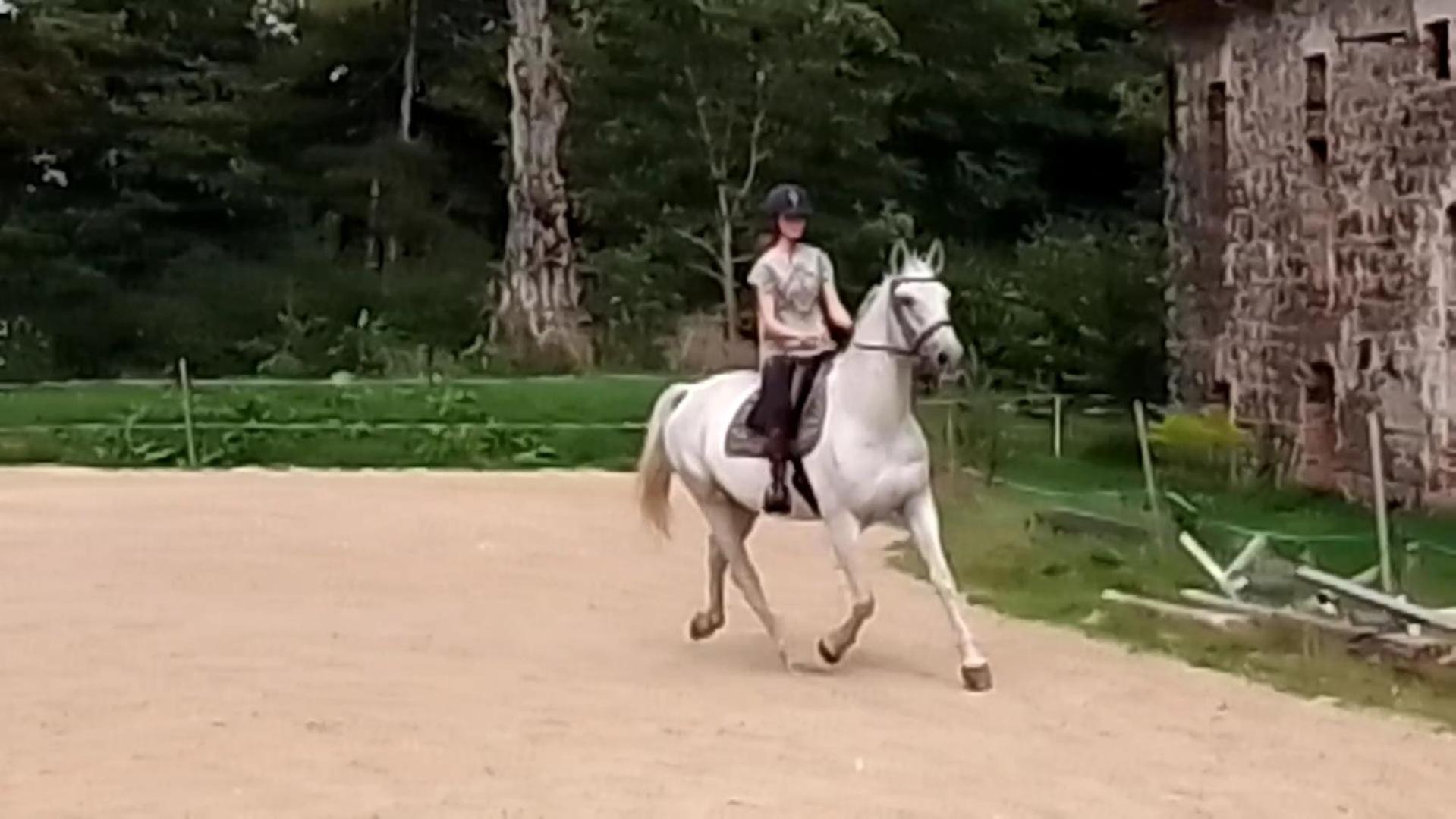 Studniska Country Estateヴィラ エクステリア 写真