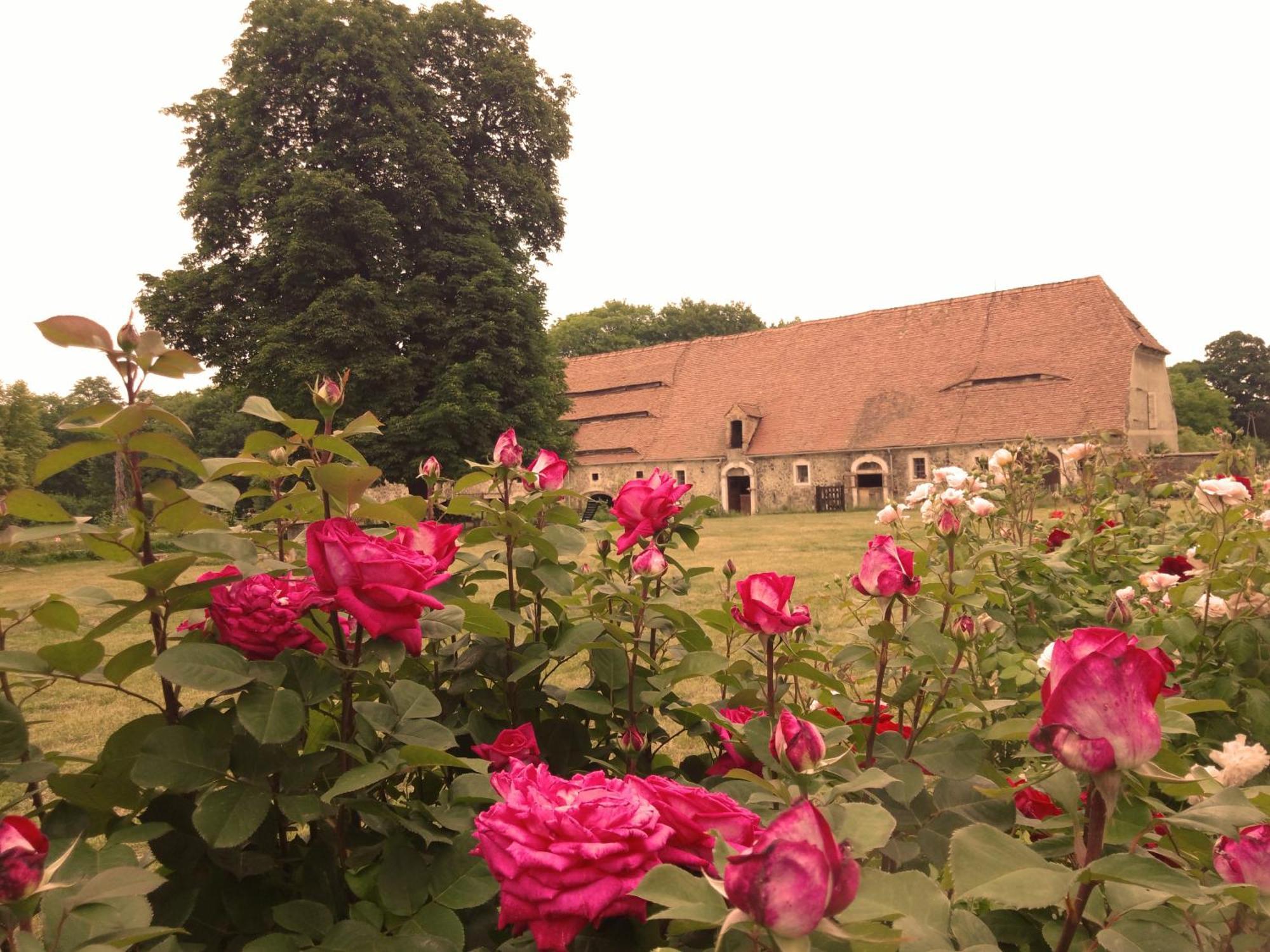 Studniska Country Estateヴィラ エクステリア 写真