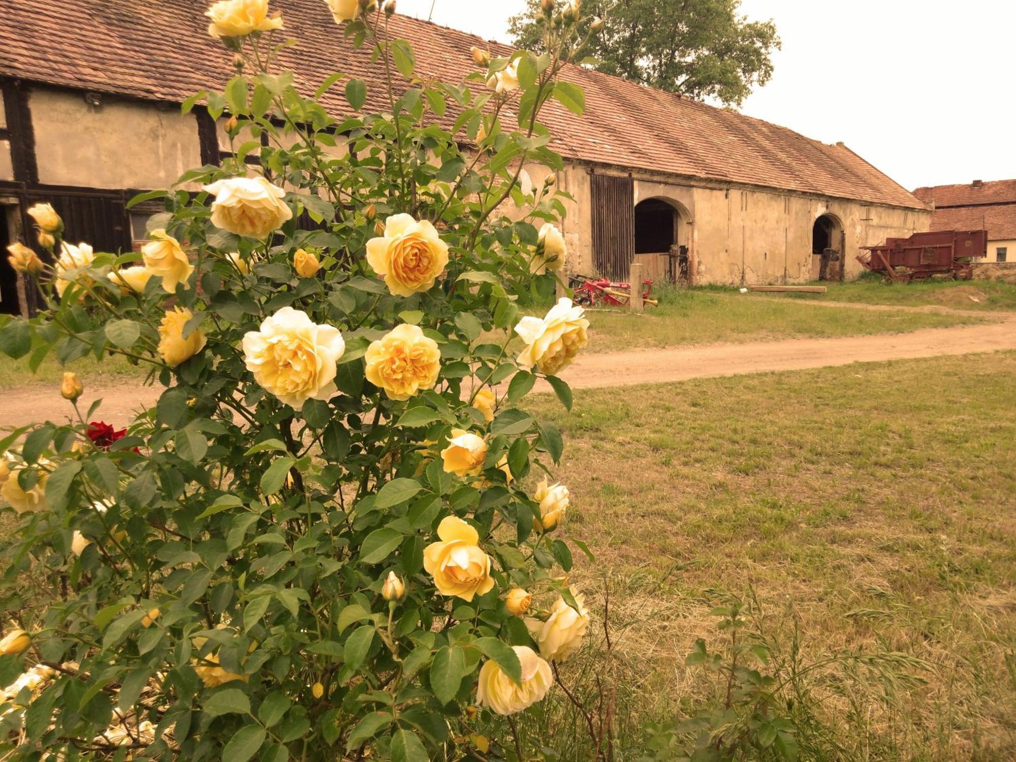 Studniska Country Estateヴィラ エクステリア 写真