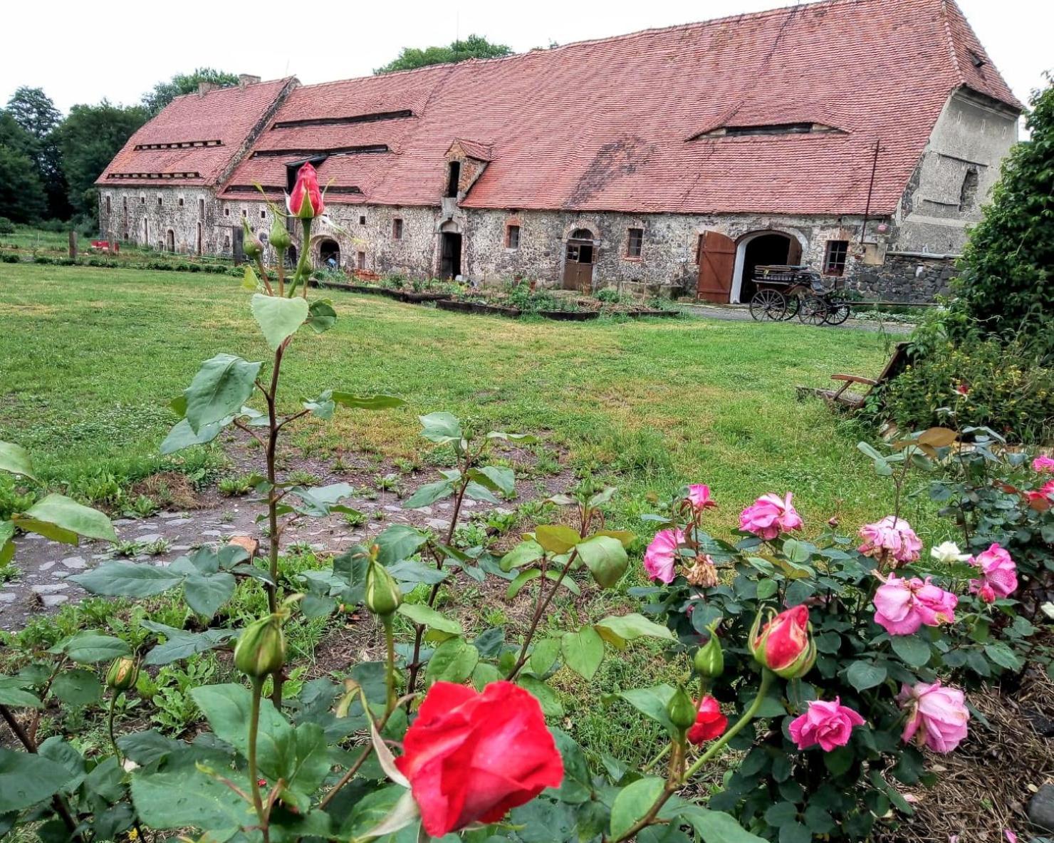 Studniska Country Estateヴィラ エクステリア 写真