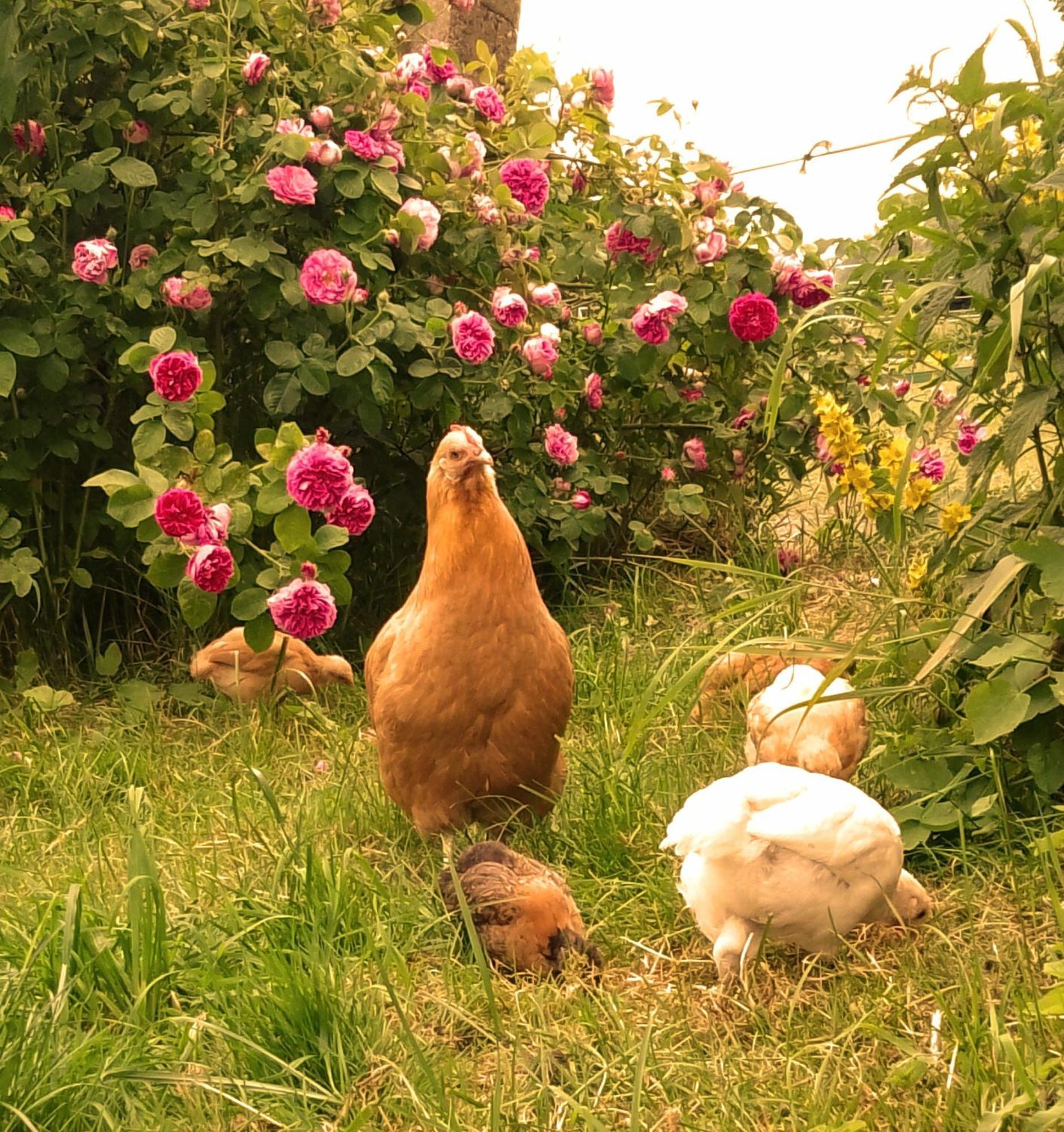 Studniska Country Estateヴィラ エクステリア 写真