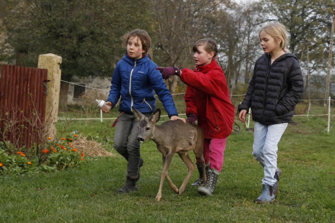 Studniska Country Estateヴィラ エクステリア 写真