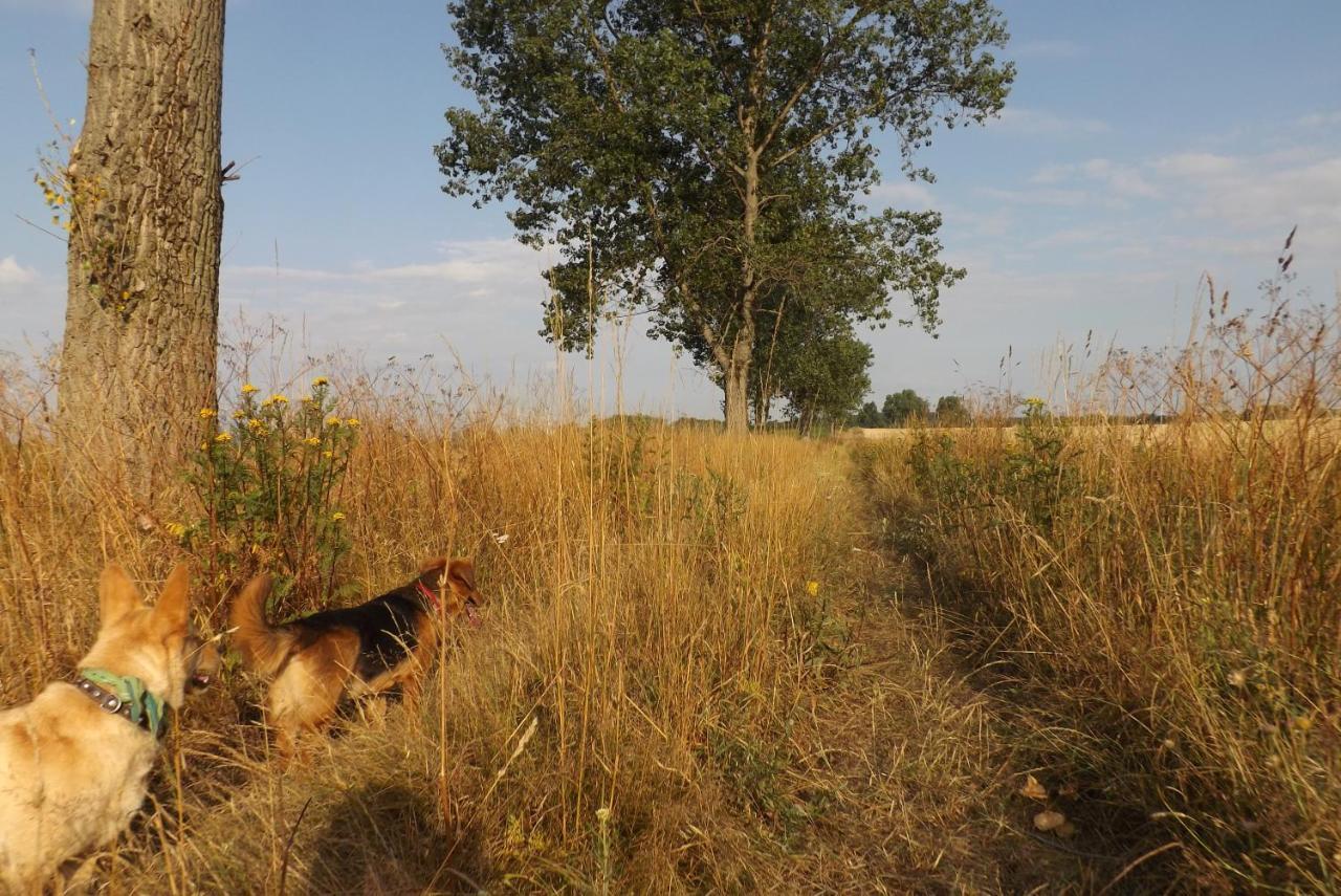 Studniska Country Estateヴィラ エクステリア 写真