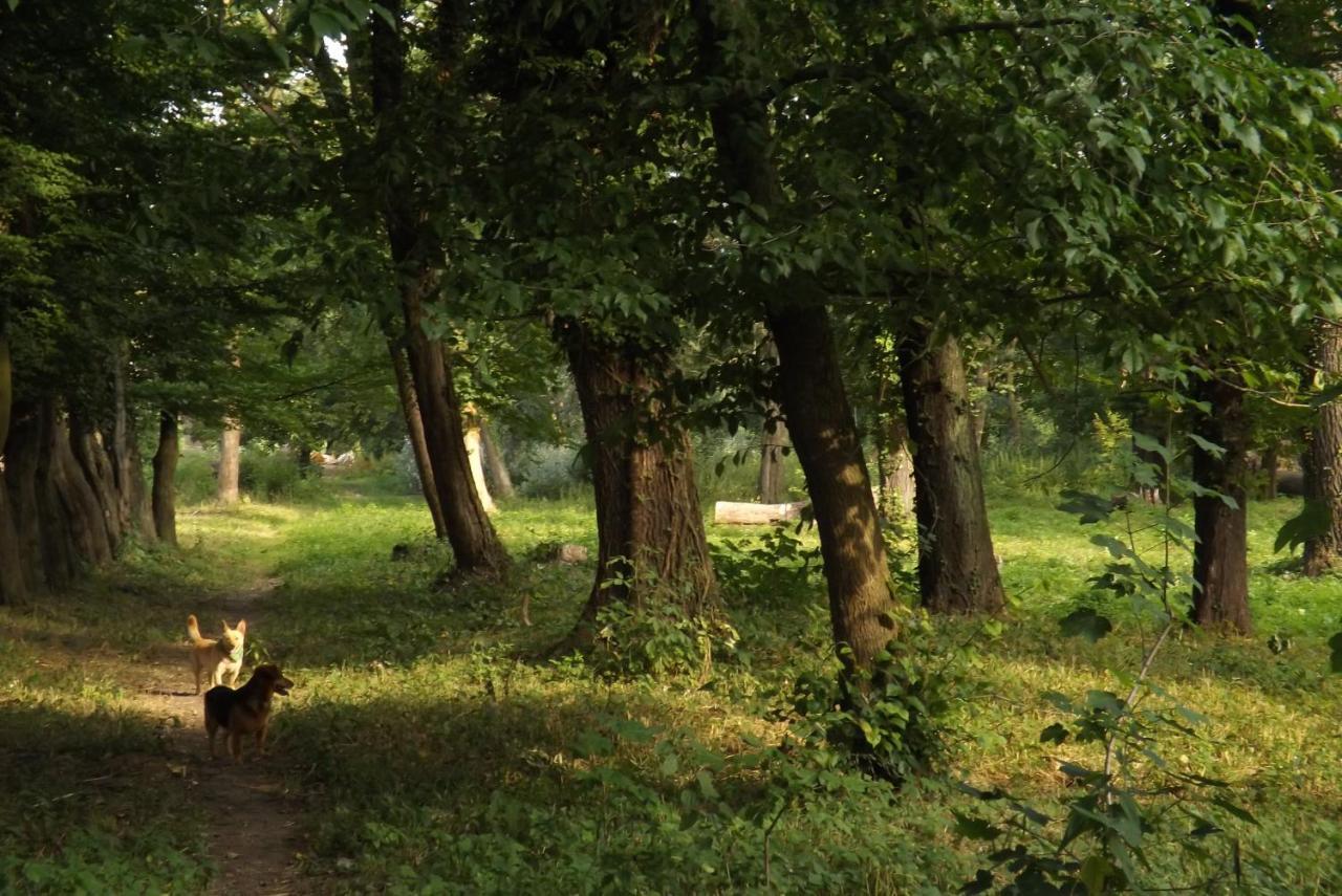 Studniska Country Estateヴィラ エクステリア 写真